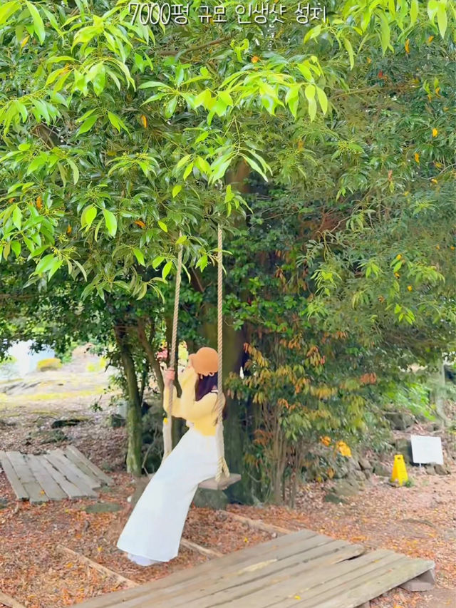 제주도 꽃구경 인생샷 성지는 바로 여기랍니당 ✨