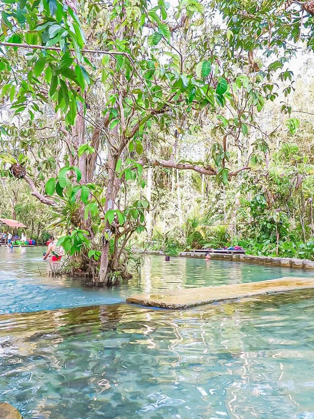 ป่าต้นน้ำบ้านน้ำราด ความสวยงามแบบ Unseen 🌳💦