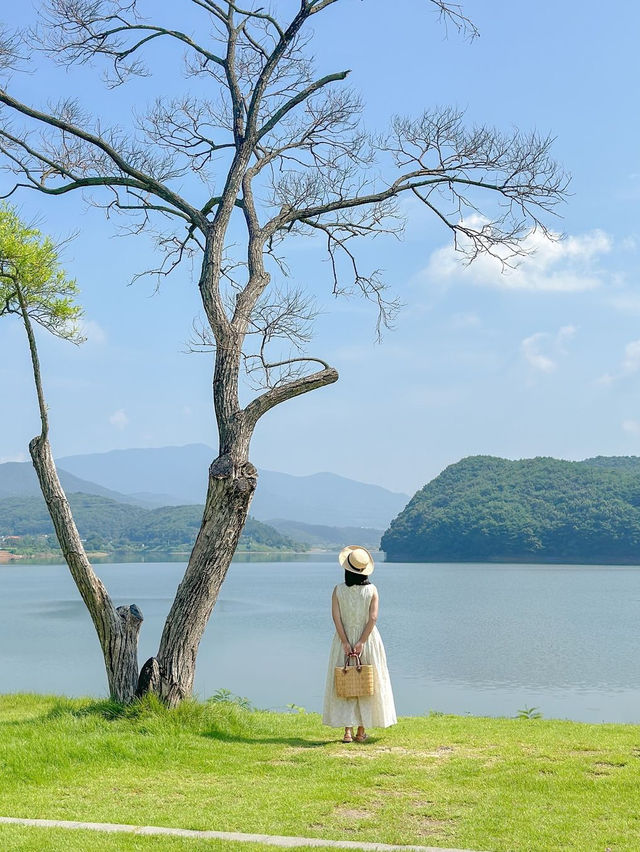 보령에도 스위스가 있었네요🍃💚