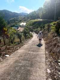 เก็บองุ่นที่ขุนสถาน 