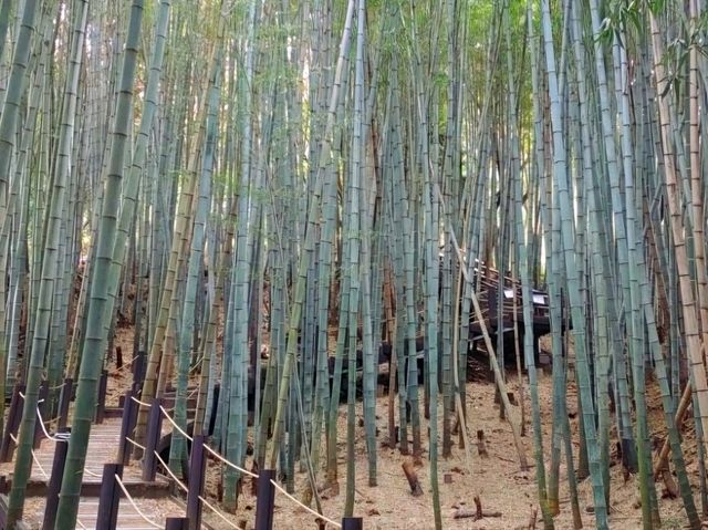 제주도 여행 필수 코스! : 한라수목원🌿
