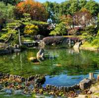 【彰化】成美文化園日式庭園，和諧寧靜，#8月好去處2024