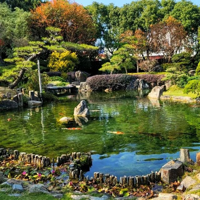 【彰化】成美文化園日式庭園，和諧寧靜，#8月好去處2024