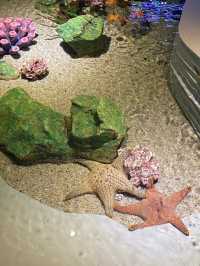 พิพิธภัณฑ์สัตว์น้ำ Aquaria Phuket