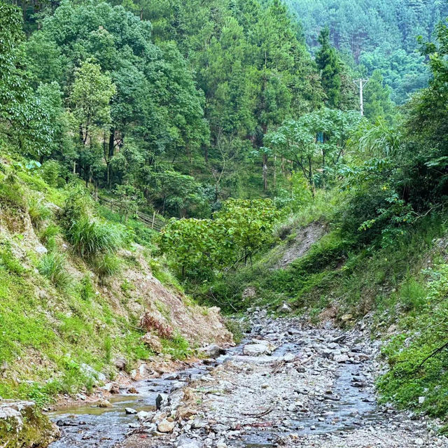 天母古道：綠蔭小徑，大自然的天籟之音