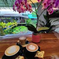"Exploring the Beauty of Orchids at World of Phalaenopsis"