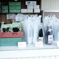 【埼玉】所沢で人気のぶどう狩りスポット🍇「所沢ぶどう園」