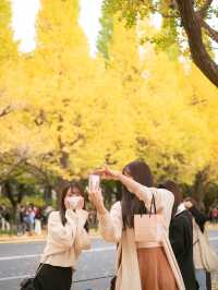 🇯🇵 東京｜明治神宮外苑前 ∙ 金黃色的銀杏並木大道
