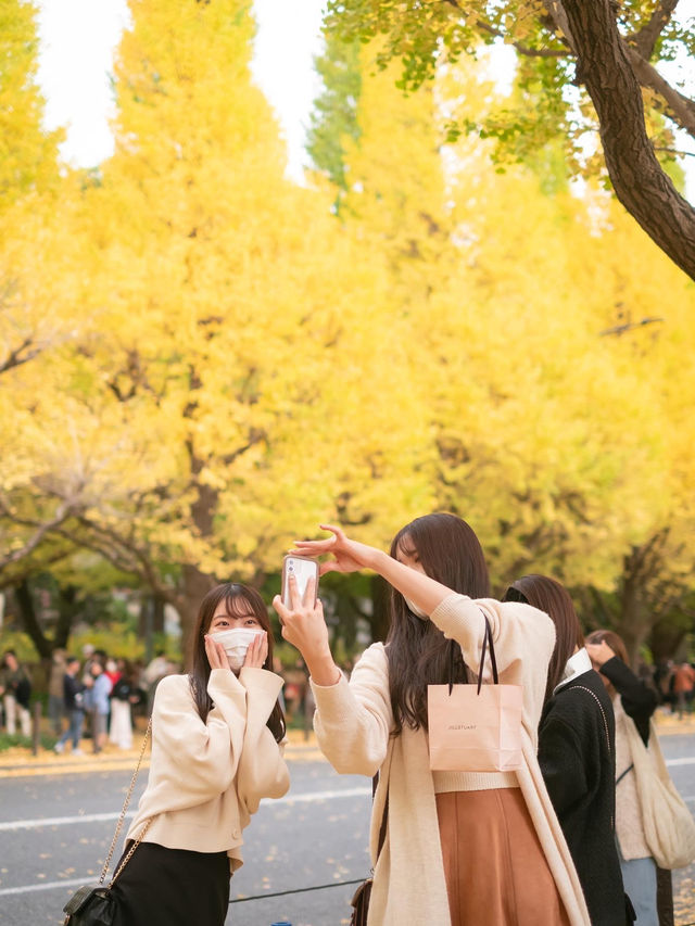 🇯🇵 東京｜明治神宮外苑前 ∙ 金黃色的銀杏並木大道