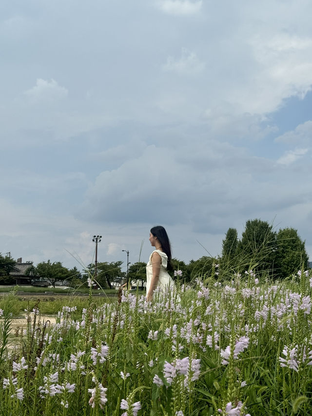 아이와 함께하는 가족 나들이 ✨