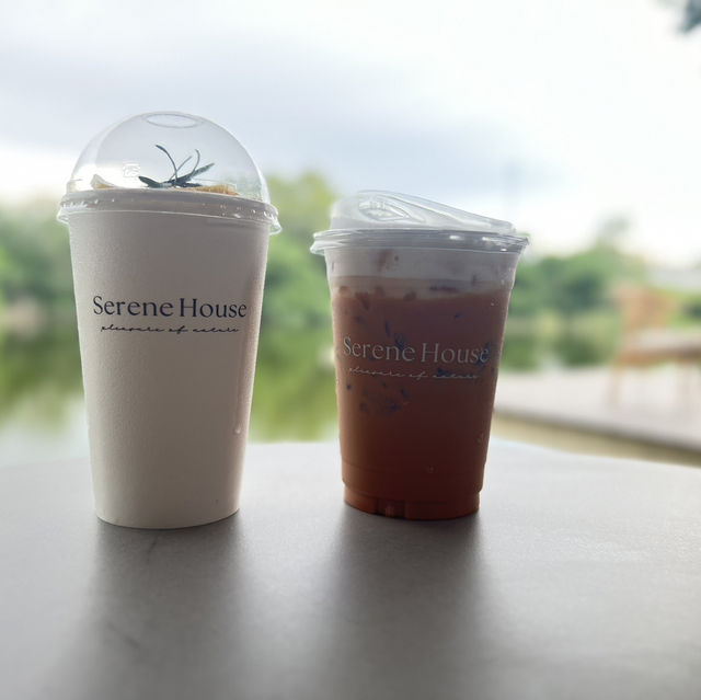 Serene House Cafe 🌳🌿🏝️