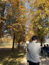매력적인 가을 풍경의 물의정원🍂