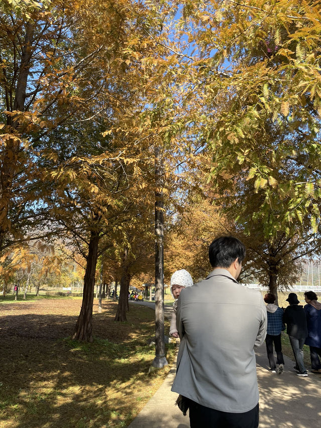 매력적인 가을 풍경의 물의정원🍂