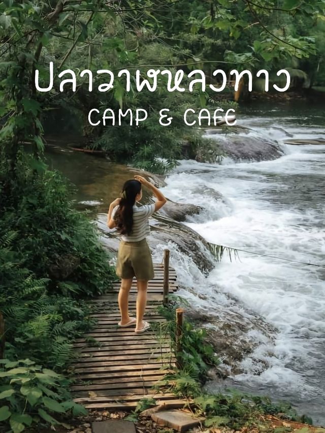 ปลาวาฬหลงทาง CAMP & CAFE' 