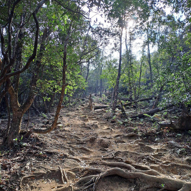 【深圳梧桐山】15公里行山路，適合8月遊覽