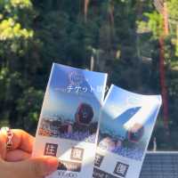 【神戸】秋のデートスポットは神戸布引ハーブ園で決まり‼️
