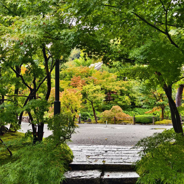 【大阪景點】西之丸庭園：雨中迷人景色～享受日本庭院風情