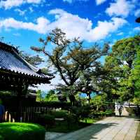 祉園之八坂神社•円山公園•大谷祖廟•長樂寺