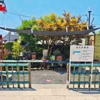 三光稻荷⛩️神社💦洗錢💴之旅