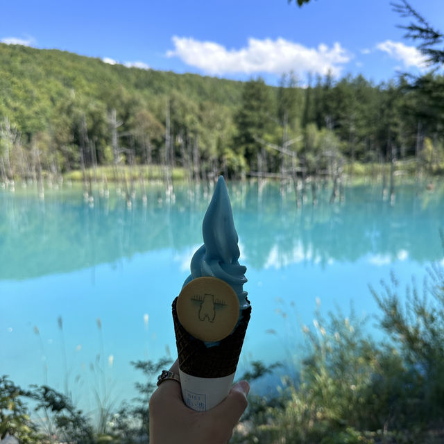 最純粹的藍，北海道的絕美幻境：青池