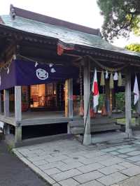 【白川水源:熊本県阿蘇群】透き通った美味しい湧き水を汲める場所✨