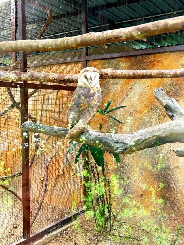 A Fun Day of Animal Encounters at Bentong Farm
