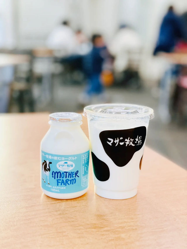 大人も意外と楽しめる！マザー牧場🐮