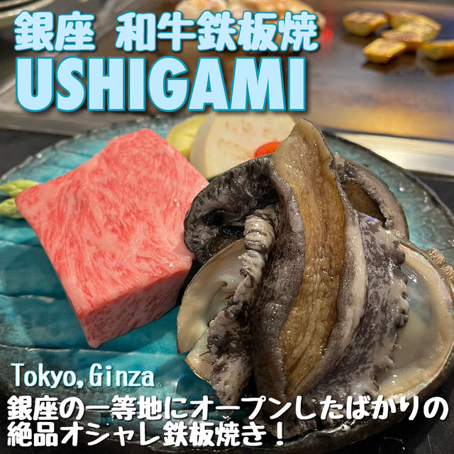 【東京🗼】新進気鋭のオシャレで楽しい鉄板焼き🥩🦪