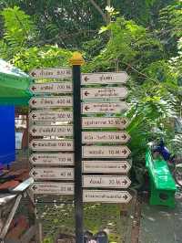 📍สูดโอโซนท่ามกลางธรรมชาติที่วัดนาคูหา แพร่