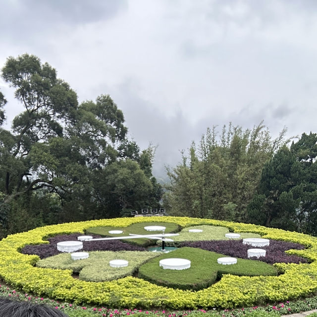 ［台北］在雲端漫步的陽明山公園