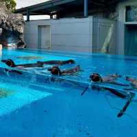 ～下關市立水族館～美麗海洋世界～