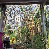 ～牛津大學哈考特植物園～增長植物知識好去處～