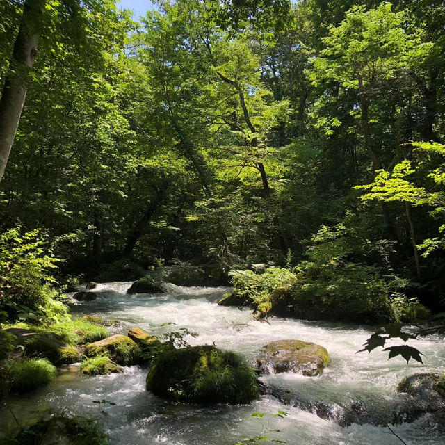 布滝：綠意盎然的自然🌿💦