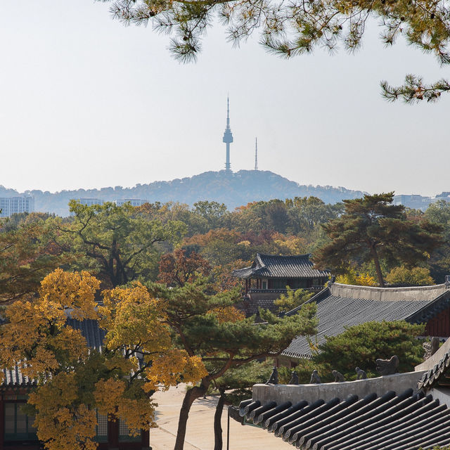 가을 가볼만한곳 창덕궁