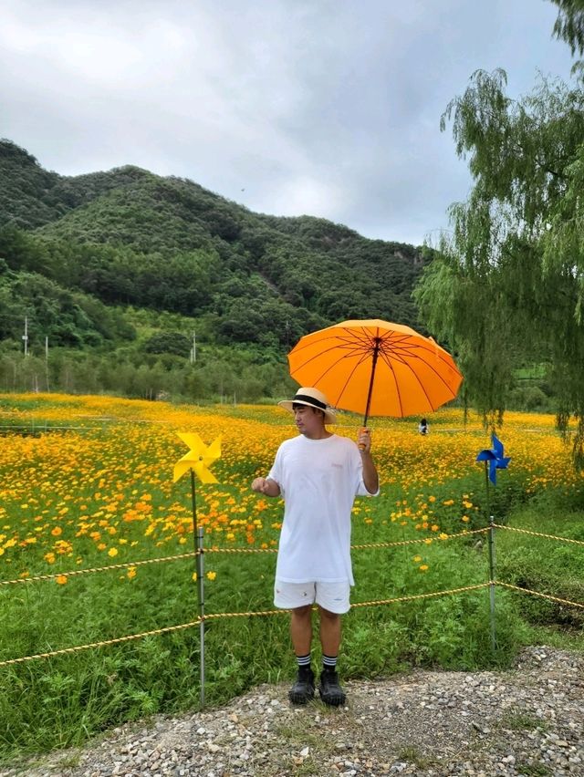 가을느낌 물씬 연천여행지 추천