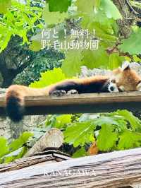 横浜にありながら無料の動物園【神奈川/桜木町】