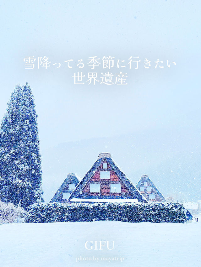 雪降ってる季節に行きたい世界遺産【岐阜/白川村】