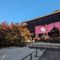 <京都 永觀堂>  🇯🇵楓葉女王的聖殿