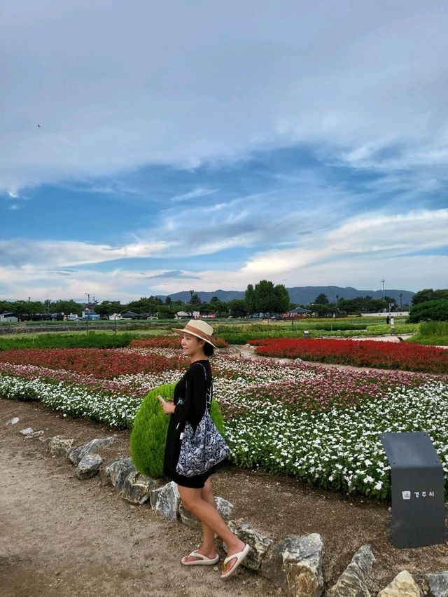 가을이 성큼 다가온 경주 첨성대 공원
