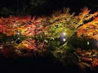 【名古屋】日本庭園の中で見る奥ゆかしい紅葉🍁