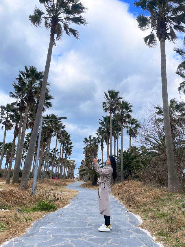 제주 해변 : 협재해수욕장