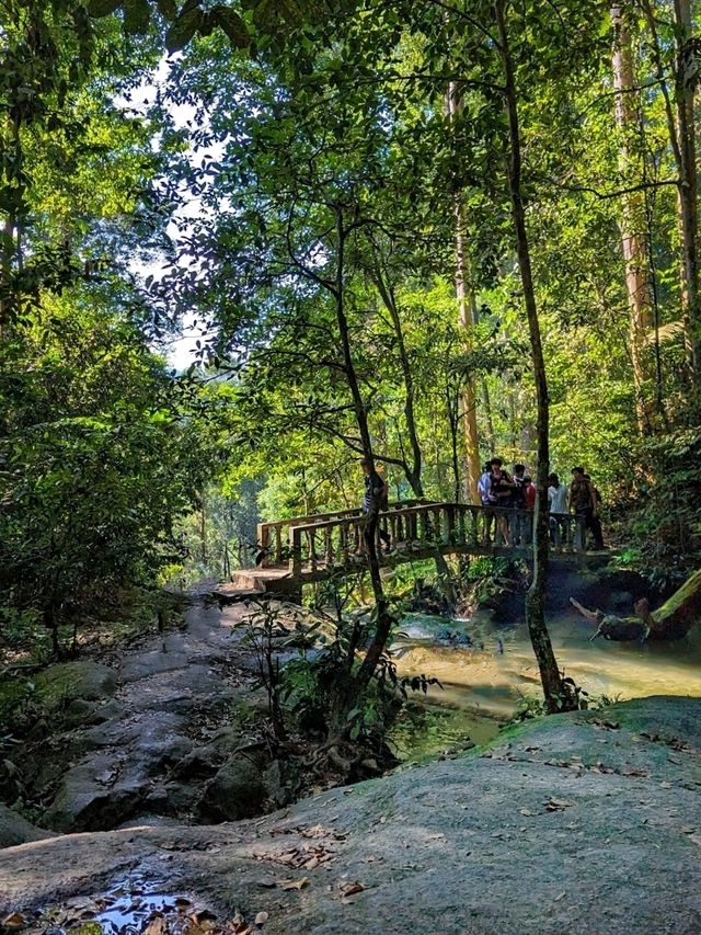 Back to nature, my favourite outdoor activity on weekend!