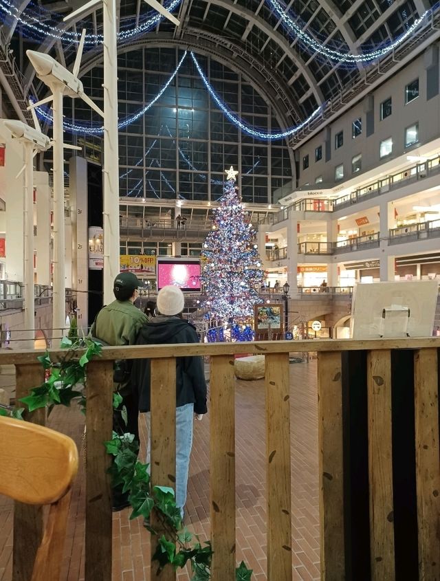 【サッポロファクトリー:北海道札幌市】毎年綺麗なクリスマスツリーが見れるよ🎄✨