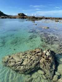 【奄美大島】グルメも観光もアクティビティも楽しすぎる奄美大島！