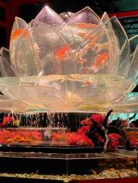 金魚×光・音・香が織りなす芸術