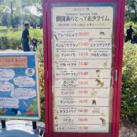 【横浜】よこはま動物園ZOORASIA - たくさんの動物が見られる国内最大級の動物園 -