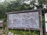 チェリーパークラインで高峰高原をドライブ@長野🛣️