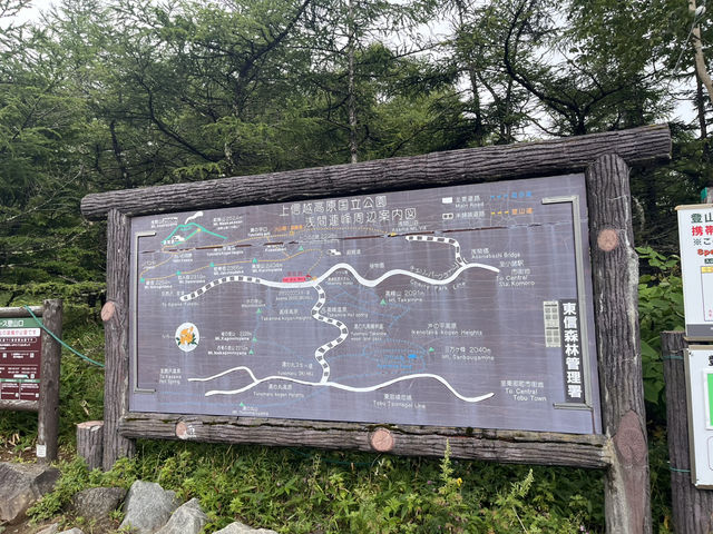チェリーパークラインで高峰高原をドライブ@長野🛣️