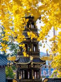 青島法海寺