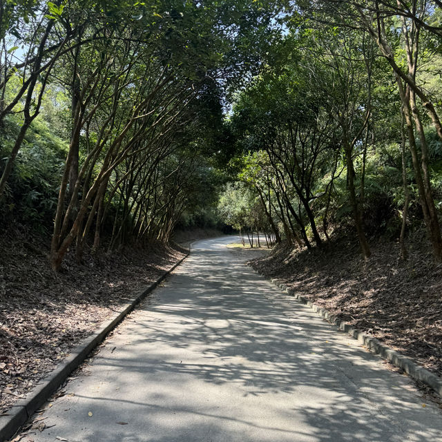 大欖郊野公園·香港徒步🇭🇰·老少咸宜·Happy